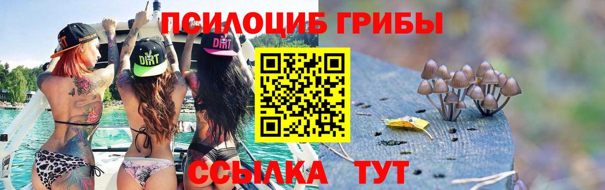 Галлюциногенные грибы ЛСД Каменка
